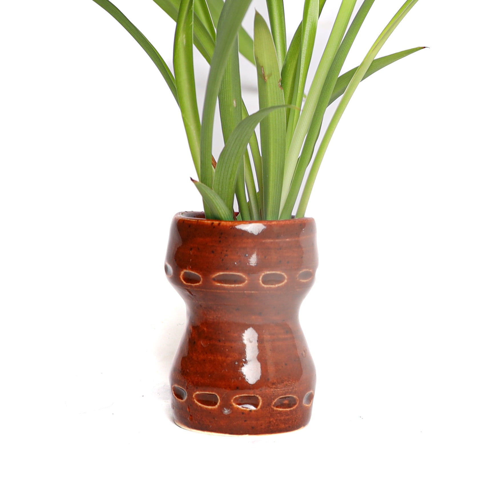 STICHED PLANTER